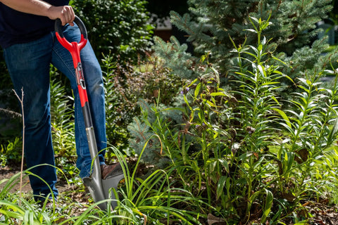 Person using a Heavy Duty Garden Shovel With Serrated Blade For Root Cutting And Digging In Tough Soil, red ergonomic spade in yard.