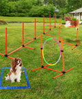 Dog Agility Training Set For Backyard And Indoor Use 4 Piece Obstacle Course with jump ring, hurdle, weave poles in backyard