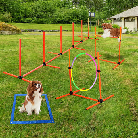 Dog Agility Training Set For Backyard And Indoor Use 4 Piece Obstacle Course with jump ring, hurdle, weave poles in backyard