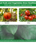 10x20 Garden Netting Bird Proof Insect Mesh For Vegetables Fruits And Plants Waterproof Sunproof Durable Pest Barrier in use