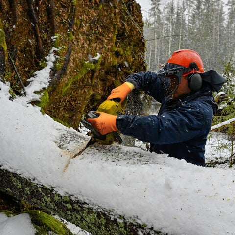 Worker cutting tree with chainsaw wearing full double coated natural rubber latex winter work gloves with nylon blend liner XL.