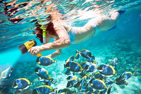 Person snorkeling with Rechargeable 1200 Lumen LED Spotlight Flashlight With 5 Modes in clear water with fish around.