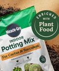 Top Shelf Indoor Potting Mix For Cactus And Succulents Featuring Sweet Roots Development With Rapid Drainage Sand Perlite And Peat Moss Formula Plus Loaded Plant Food For Ace Houseplants In 8 Quart Packs bag with plant food label and soil.