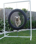 Adjustable Tire Jump For Dog Agility Training With One And A Quarter Inch Furniture Grade PVC Poles, 24 Inch Tire Diameter