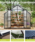 Walk-In Outdoor Greenhouse Kit With Built-To-Last Aluminum Frame And 4mm Twin-Wall Polycarbonate Panels, 8 By 16 Foot, door open view