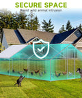 Big Walk In Chicken Coop With Run Galvanized Poultry Enclosure With Waterproof UV Cover And Secure Lock in backyard scene
