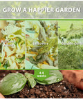Progress stages of composting kitchen waste, leftovers, and garden garbage into fertile soil with Backyard Garden Compost Bin 80 Gallon Large Capacity Outdoor Composter With Dope Aeration System And Easy Assembly In Orange For Fast Fertile Soil From Food Waste over 4-8 weeks.