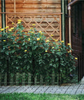Arched Decorative Garden Fence Set Of 10 Panels With 24 Inch High Clearance, 13 Inch Wide Each, 10.8 Feet Long Total, Rustproof Metal Yard Border