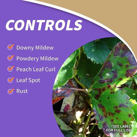 Captain Jack's Copper Fungicide 32 Oz Ready To Spray Liquid Disease Control for organic gardening and leaf curl