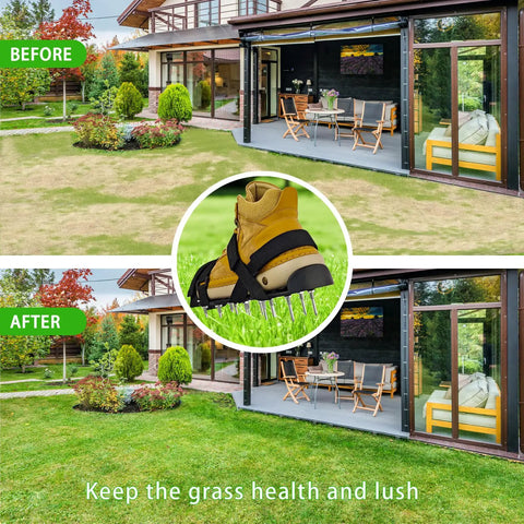 Side by side lawn comparison with One Size Fits All Lawn Aerator Shoes With Upgraded X Shaped 8 Strand Straps And 13 Steel Spikes after use.