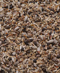 Protein Packed Pigeon Treat For Show Birds And Racing Homers High Fat Conditioning Formula With 18 Percent Protein 8 Lb Bag seeds