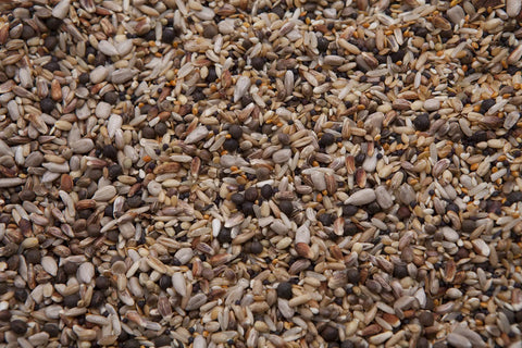 Protein Packed Pigeon Treat For Show Birds And Racing Homers High Fat Conditioning Formula With 18 Percent Protein 8 Lb Bag seeds