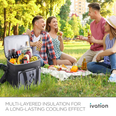Portable Electric Cooler Bag And Thermoelectric Travel Fridge With 18 Liter Soft Sided Build DC 12 Volt Car Plug Case for a picnic.