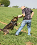 Trainer using Durable Dog Bite Sleeve For Medium To Large Breeds Pro Training Gear For German Shepherds And Pitbulls Safe Padded Arm Sleeve