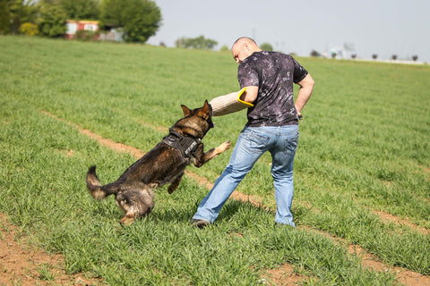 Trainer using Durable Dog Bite Sleeve For Medium To Large Breeds Pro Training Gear For German Shepherds And Pitbulls Safe Padded Arm Sleeve