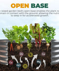 Galvanized Raised Garden Bed Kit 2x2x1 Ft No Fuss Setup Outdoor Planter Box for Vegetables Fruits and Flowers Easy Assembly for Balconies Patios and Yards Silver showing open base with plants and soil nutrients.