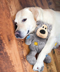 Dog cuddling with Wild Knots Bear Dog Toy With Internal Knotted Rope Skeleton Durable Plush Chew Toy For Medium To Large Dogs