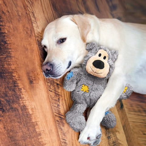 Dog cuddling with Wild Knots Bear Dog Toy With Internal Knotted Rope Skeleton Durable Plush Chew Toy For Medium To Large Dogs