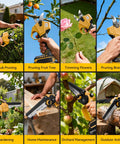Beefed Up Four In One Pole Saw And Electric Pruning Shears Kit With A Six Inch Mini Chainsaw For Tree Trimming in various uses