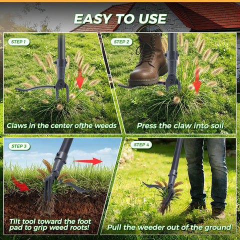 Stand Up Weed Puller Tool With A 46 Inch Adjustable All Metal Long Handle And A 4 Claw Steel Head For Root Removal No Bending Or Kneeling Heavy Duty Back And Knee Friendly Garden Weeder shown in use on grass