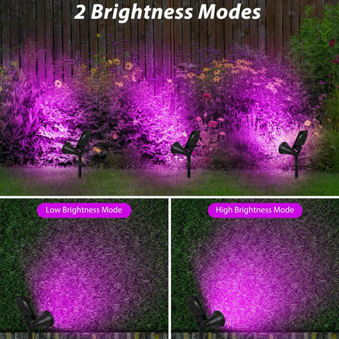 Purple Solar LED Spotlight 2 Pack Outdoor Waterproof Landscape Lights with auto on off, showing two brightness modes illuminating garden.