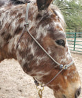 Close-up of a horse wearing a Sliding Ring Rope Halter for Horse Training All Ages and Types, showing the twist-free setup.