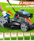 144 CC Gas Lawn Mower 21 Inch 2 In 1 Push With Mulching And Side Discharge 6-position cutting height adjustment