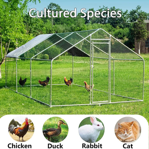 Large Outdoor Metal Chicken Coop With Walk In Run For Backyard Poultry, 19.19 By 9.84 By 6.56 Feet, Waterproof Roof, in garden setting
