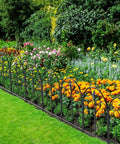 Arched Decorative Garden Fence Set, 10 Pack, 24 Inch High By 10 Foot Long Rustproof Metal Barrier for Yard and Patio, installed in garden