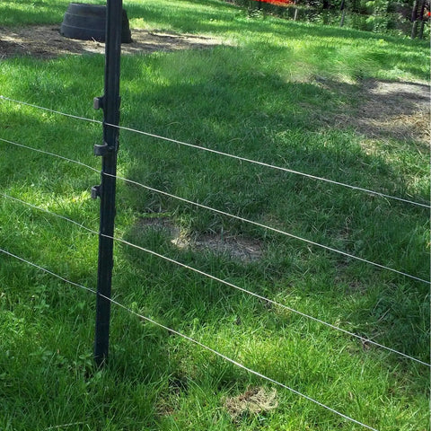 164 Ft One Quarter Inch Stainless Steel Wire Rope Cable 7x19 Aircraft Cable For Railing And Heavy Duty Zip Line 6400 Lb Breaking Strength Flexible Durable Rust Resistant used as fence on green lawn