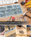 288 Piece Wood And Sheet Metal Screws Kit With Phillips Drive Pan And Flat Head Assortment Marine Grade Carbon Steel Includes Sizes Four To Ten In Three Eighths Inch To Two Inches Lengths For Indoor And Outdoor Projects displayed in storage case with tools.