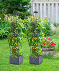 Yard Friendly Raised Garden Bed With Tomato Planter Box Trellis For Patio And Indoor Outdoor Gardening 56 Inch Tomato Cages For Vertical Climbing Plants Vegetables And Flowers Space Saving Kit 2 Pack in a garden.