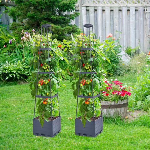 Yard Friendly Raised Garden Bed With Tomato Planter Box Trellis For Patio And Indoor Outdoor Gardening 56 Inch Tomato Cages For Vertical Climbing Plants Vegetables And Flowers Space Saving Kit 2 Pack in a garden.