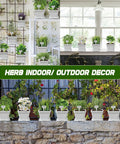 10 Herb Seeds Garden Starter Kit With White Pots Markers Soil Discs Watering Bottle Herb Clipper Mini Pruner Set in window