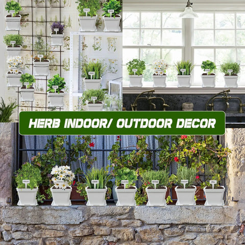 10 Herb Seeds Garden Starter Kit With White Pots Markers Soil Discs Watering Bottle Herb Clipper Mini Pruner Set in window