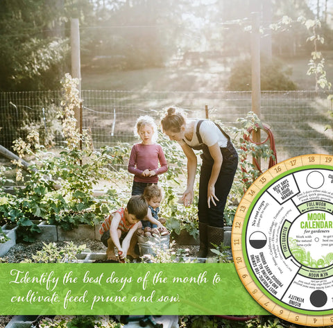 Moon Phase Garden Calendar For Planting Pruning And Sowing An Easy Dial Moon Planner with family gardening scene