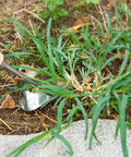 3 Pack Pro Grade Stainless Steel Weed Puller Tools Set with V Shaped Uprooting Hand Weeder removing grass in garden