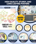 Fun 12 Chemistry Apparatus Science Posters For Classroom Kids 11x14 Matte Laminated Educational Wall Decor For Hallways