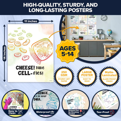 Fun 12 Chemistry Apparatus Science Posters For Classroom Kids 11x14 Matte Laminated Educational Wall Decor For Hallways
