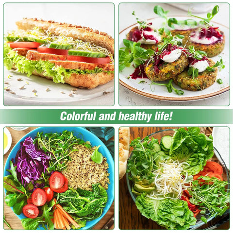 Various dishes garnished with sprouts, including sandwiches, salads, and veggie patties, showcasing a colorful and healthy lifestyle.
