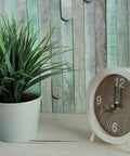 Potted plant and round clock on surface in front of wall with Beach Wood Self Adhesive Film 17 Inch By 78 Inch Roll 2 Pack.