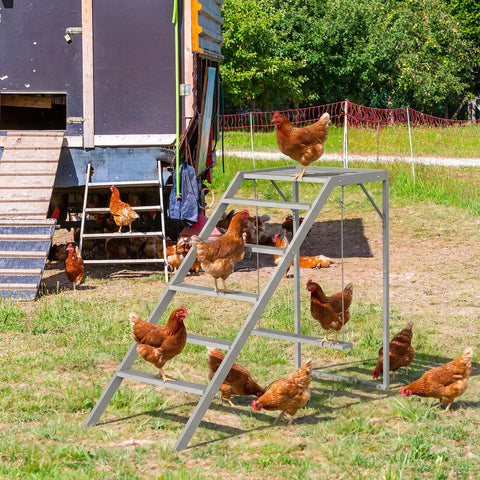 Chickens using chicken perch with ladder and swing next to coop; activity playground in wooden run