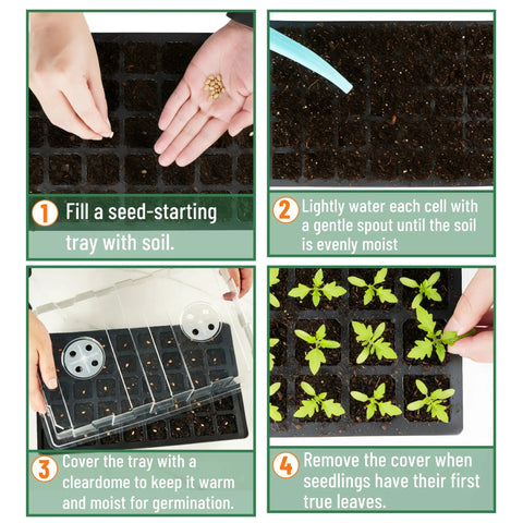Seed Starter Tray Kit Set 10 Pack With 400 Cells Durable Germination Trays Humidity Vented Domes And Bases in use steps