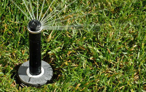 4 Inch Pop Up Sprinkler Body With 40 PSI Regulator For Lawn Irrigation Systems No Nozzle Included on grass with gray cap