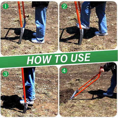 How to use Heavy Duty 5-Tine Broad Fork for Gardening With Ergonomic U Shaped Handle All Steel Construction Rust Resistant Built