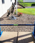 Angled Wing Jump For Dog Agility, Heavy Duty PVC Obstacle For Indoor Or Outdoor Training, 48 Inch Bar, Bright Yellow
