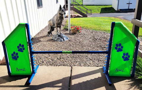 Angled Wing Jump For Dog Agility, Heavy Duty PVC Obstacle For Indoor Or Outdoor Training, 48 Inch Bar, Bright Yellow
