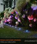 ZigBee RGBW Color Changing Outdoor Accent Light Starter Kit 14 Foot Run With 9 Accent Lights illuminating garden path