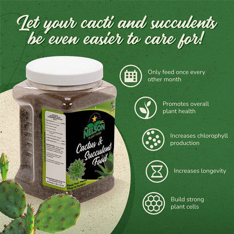 Cactus And Succulent Plant Food For Indoor And Outdoor Plants No Fuss Low Maintenance Fertilizer That Feeds Every Other Month All Purpose Cacti Fertilizer With Rich Nutrients For Healthy Growth. 4 lb jar
