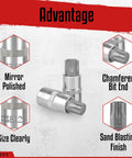 32 Piece Hex Bit Socket Master Set with Allen Sockets showing mirror polished finish and chamfered bit end.
